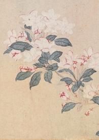 撷春色(强取豪夺)-象辇 (1 / 2)-三五中文