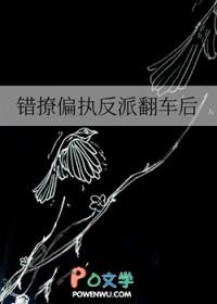 错撩偏执反派翻车后二十一挽