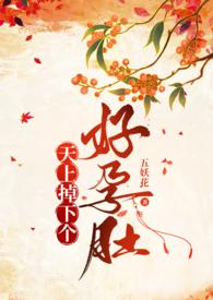 天上掉下个小萌妻免费阅读