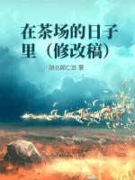 茶场作文