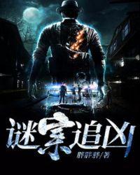 谜案追凶电视剧