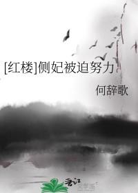 侧妃宠妾文