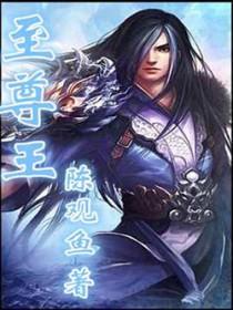 至尊王子酒黑金限定版