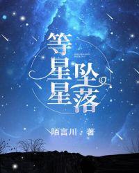 等星星坠落时