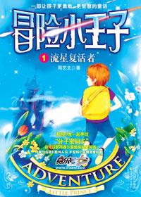 冒险小王子17
