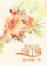 带着庄园闯红楼