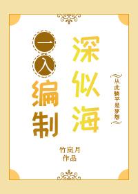 一入编制深似海车在第几章