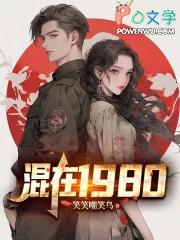 混在娱乐圈1980