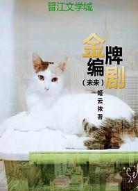金牌编剧txt