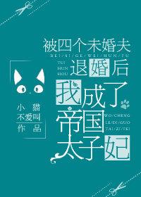 我成了帝国太子妃 小猫不爱叫