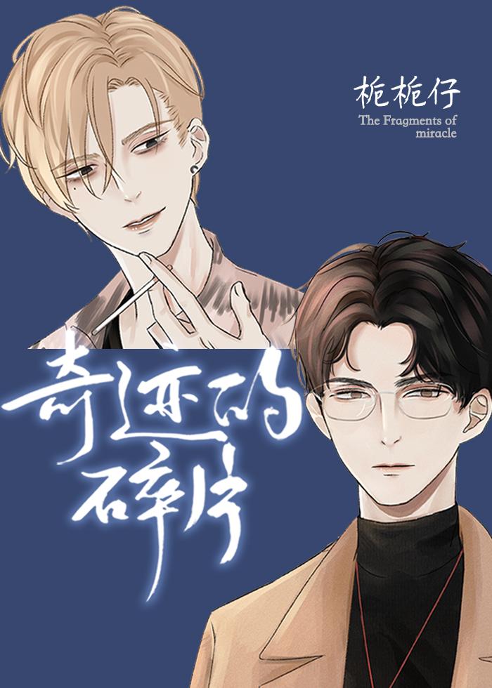 奇迹的碎片在线看