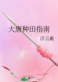 穿越大唐种田文