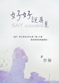 好好说再见剧情介绍