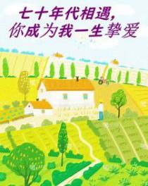 七十年代携手一身免费阅读
