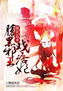 腹黑邪王追丑妻付基宝