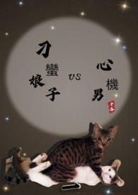 刁蛮新娘剧情分集介绍