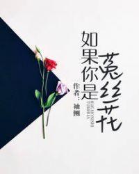 袖侧免费阅读
