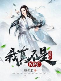我真不是NPC天命王侯