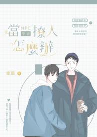 当npc是什么体验