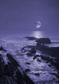 暗夜全文免费阅读