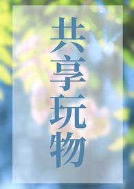 共享玩物(n)笔趣阁免费阅读