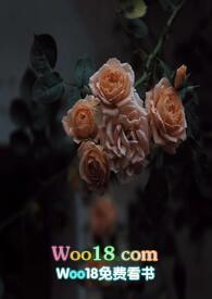 壁垒(骨科NP)作者江至疏