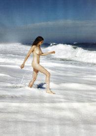 温柔禁锢作者微博