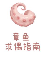 章鱼的
