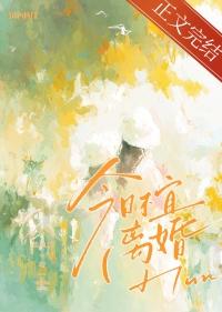 今日不宜离婚免费全集