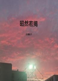 昭然若揭下一句