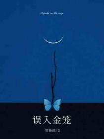 误入金笼百度