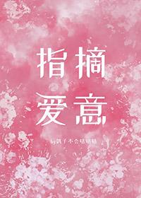 指摘爱意 鸽子不会咕咕咕免费