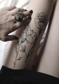 金丝雀重生by狐狸不归