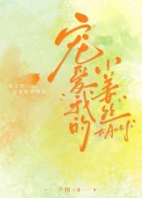 小宠爱
