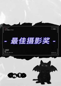 最佳摄影奖(伪父女)by槐夏笔趣阁