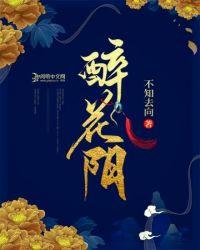 醉花阴李清照原文及翻译