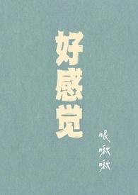 好感概是什么意思