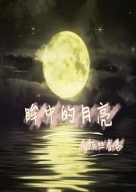 眸中月光什么意思