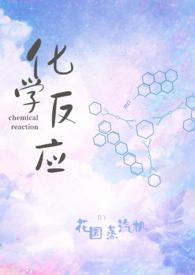 化学反应耽美