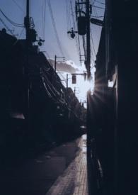 你是我的曙光晋江