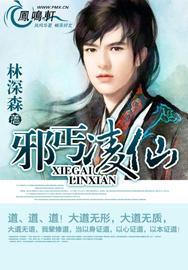 邪丐凌仙在线阅读