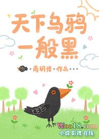 天下乌鸦一般黑