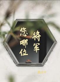 你将军我是什么意思
