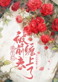 被前夫缠上了免费阅读