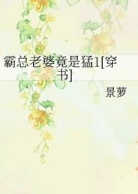 霸总宠妻之路免费阅读全文最新