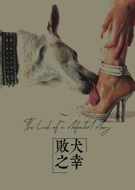 败犬的意思是什么