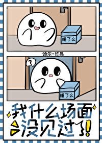 我什么场面没见过英语