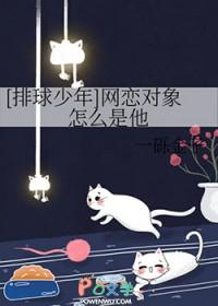 排球少年cp排行