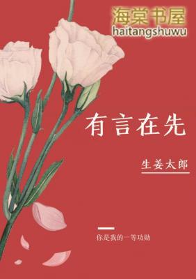 有言在先abo简介