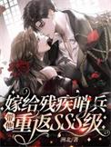 带他重返sss级百度